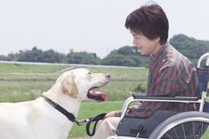 清水区でもっとも人気ある歯科医院はここです