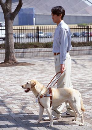 太子町の整形外科を徹底解剖！地域最高の医療サービスと最新治療法を完全ガイド