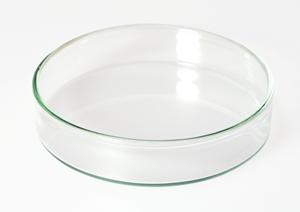 松戸で膝の痛みを解消！整形外科選びのポイントと最新治療法2025