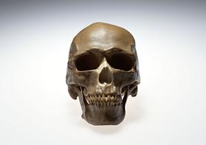 皮膚のことなら何でも相談できる皮膚科