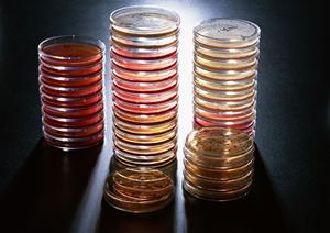 高水準の矯正治療が受けられる歯科医院