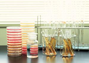 五反田で見つける安心のメンタルクリニック：心の健康を支える治療とサポートガイド